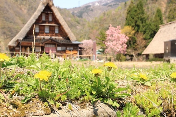 【春得】◎世界遺産合掌造り集落の春　A５ランク氷見牛、しろえびや旬の山菜満喫♪　純米吟醸酒付プラン